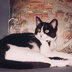 Meet your Posher, Leslie